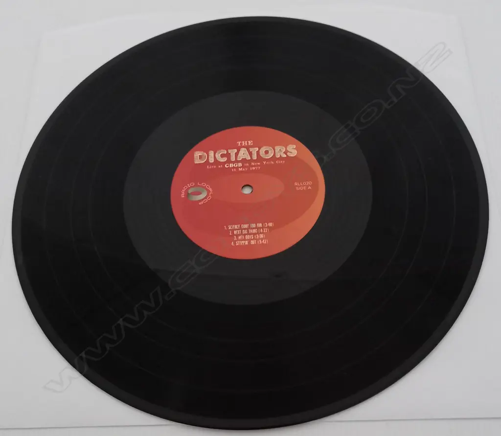 The Dictators, Live At CBGB In New York City 11 May 1977 Image 1++